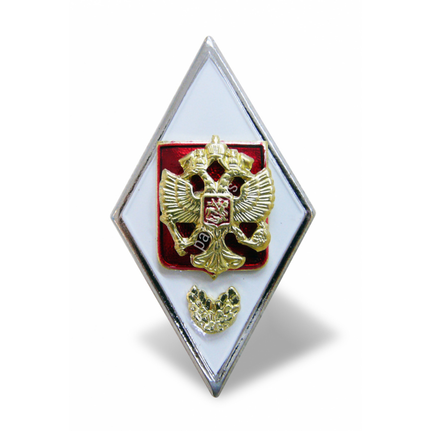 Нагрудный знак "Об окончании военной академии" фото 1